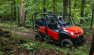 Group of people speeding down a forest trail