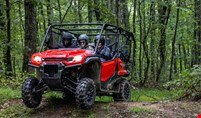 Group of people going over a bump on a forest trail