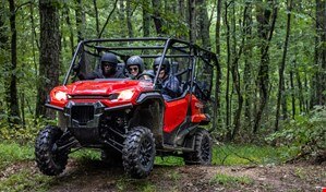 Group of people going over a bump on a forest trail