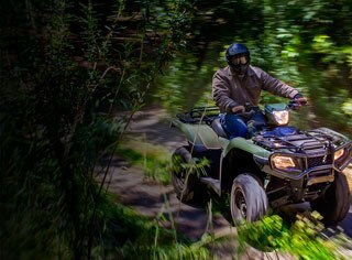 ATV rider on trail accelerating through lush green shrubbery