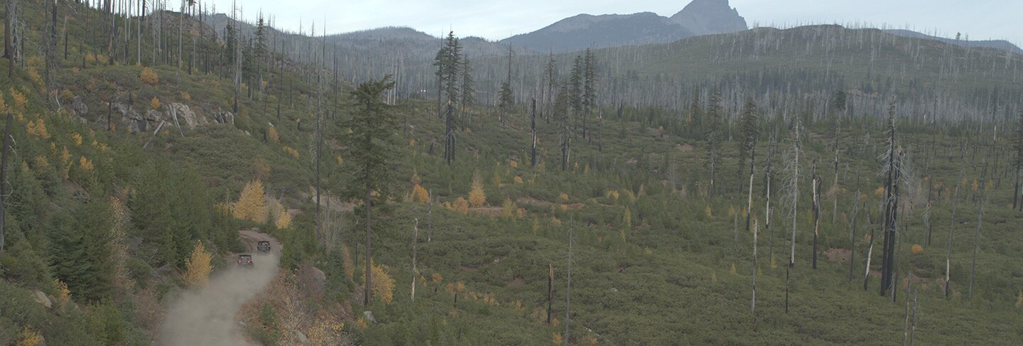 Quatre personnes en habit de camouflage qui examinent de haut un paysage de collines verdoyantes avec un VCC stationné en avant-plan.