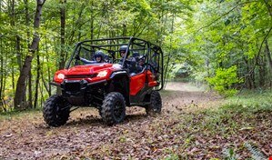 People driving along a forest trail