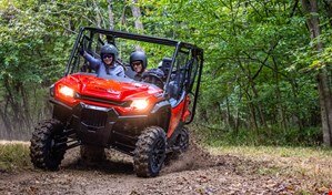 People driving along a forest trail, dirt kicking up front the tires